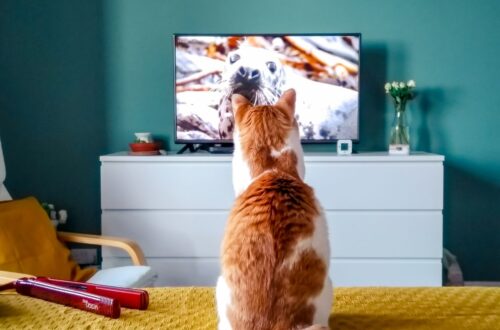 4K-TV_pic1