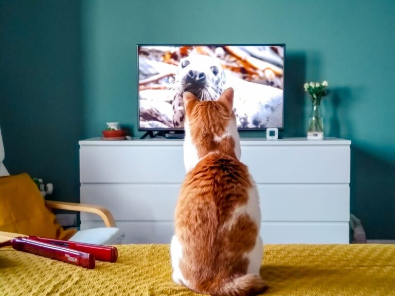 4K-TV_pic1